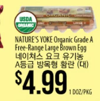 Hmart Nature's yoke organic grade a free-range large brown egg offer