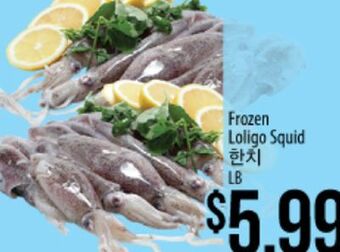 Hmart Frozen loligo squid offer