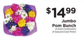 ShopRite Jumbo pom bunch offer