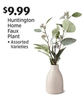 Aldi Huntington Home Faux Plant offer