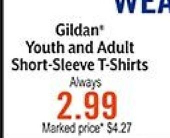 Hobby Lobby Gildan* youth and adult short-sleeve t-shirts offer