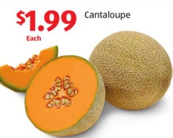 Aldi Cantaloupe offer