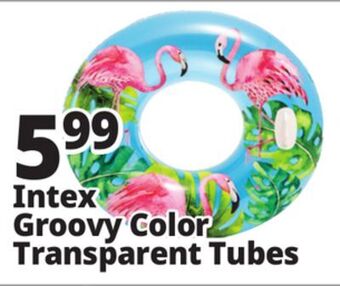 Ocean State Job Lot Intex lush tropical tube float offer
