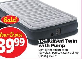 Ocean State Job Lot Intex twin dura-beam comfort-plush air mattress with internal pump offer