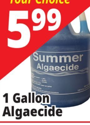 Ocean State Job Lot Summer algaecide, 1 gal offer