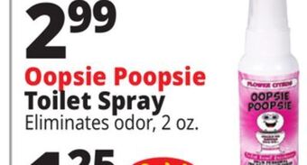 Ocean State Job Lot Oopsie poopsie toilet spray offer