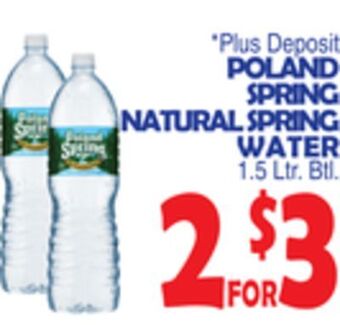 Bravo Supermarkets Poland spring natural spring water offer