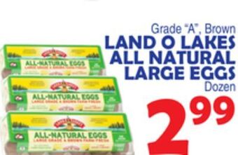 Bravo Supermarkets Land o lakes all natural large eggs offer
