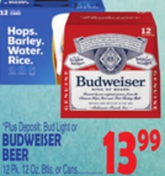 Bravo Supermarkets Budweiser beer offer