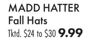 Boscov's Madd hatter fall hats offer