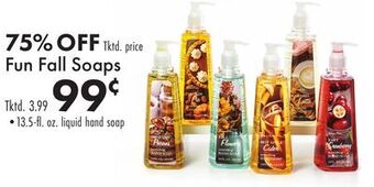 Boscov's Fun fall soaps offer