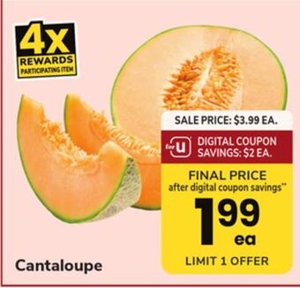 ACME Cantaloupe offer