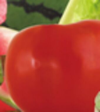 ACME Vine ripe tomatoes offer