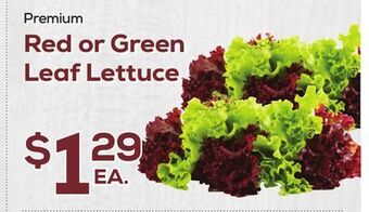 DeCicco & Sons Red or green leaf lettuce offer