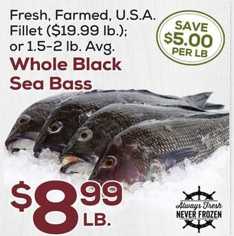 DeCicco & Sons Whole black sea bass offer