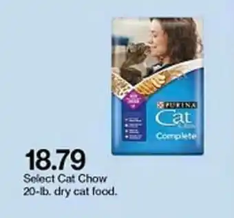 Target Purina Cat Chow 20-Lb Dry Cat Food offer