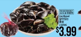 Hmart Live mussel offer