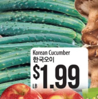 Hmart Korean cucumber offer