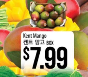 Hmart Kent mango offer