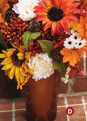 Family Dollar Galvanized bucket offer