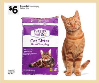 Dollar General Forever pals® non-clumping cat litter offer