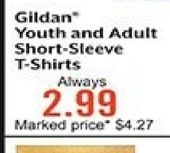 Hobby Lobby Gildan* youth and adult short-sleeve t-shirts offer