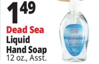 Ocean State Job Lot Dead sea liquid hand soap offer