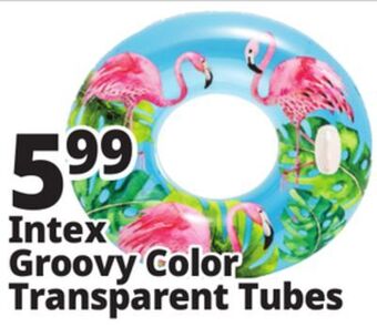 Ocean State Job Lot Intex lush tropical tube float offer