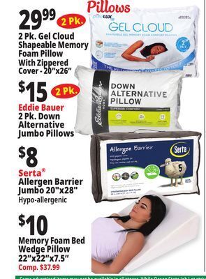 Ocean State Job Lot Pillows offer