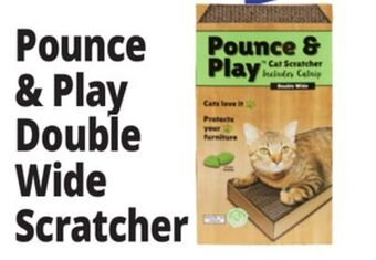 Ocean State Job Lot Pounce & play double wide scratcher offer
