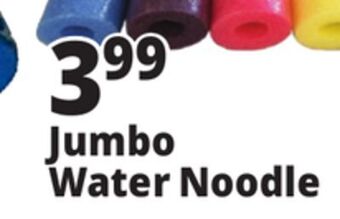 Ocean State Job Lot Jumbo water noodle offer