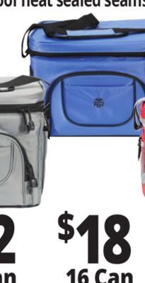 Ocean State Job Lot North peak hard lined cooler, 16-can offer