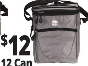 Ocean State Job Lot North peak insulated vertical cooler, 12-can offer