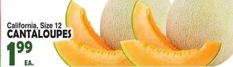 Bravo Supermarkets Cantaloupes offer