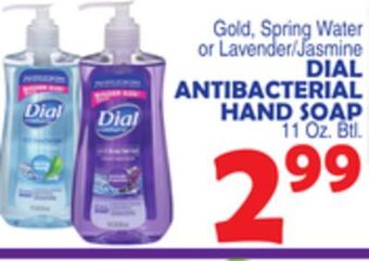 Bravo Supermarkets Dial antibacterial hand soap offer
