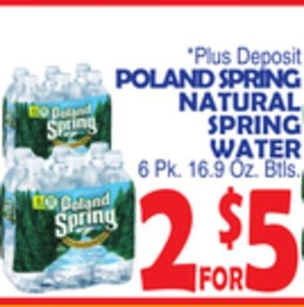 Bravo Supermarkets Poland spring natural spring water offer