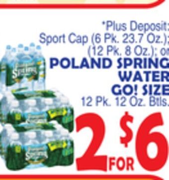 Bravo Supermarkets Poland spring water go! size 12 pk. 12 oz. btls offer