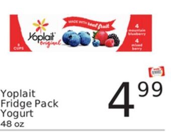 Weis Markets Yoplait fridge pack yogurt offer