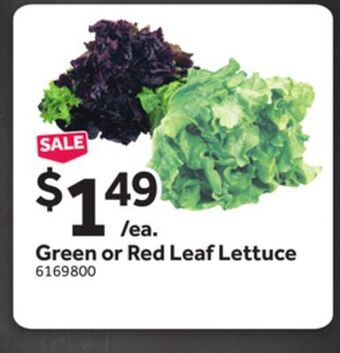 Stop&Shop Green or red leaf lettuce offer