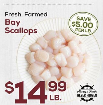DeCicco & Sons Bay scallops offer