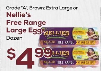 DeCicco & Sons Nellie's free range large eggs offer