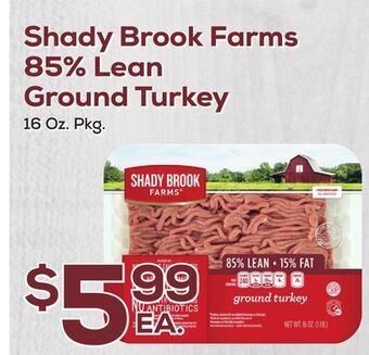 DeCicco & Sons Shady brook farms 85% lean ground turkey offer