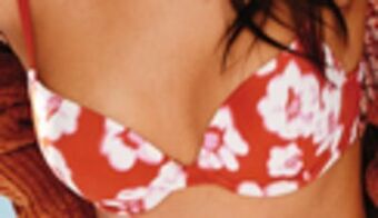 JC Penney Arizona body bras offer