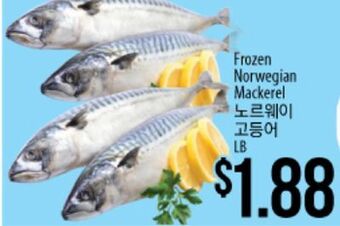 Hmart Frozen norwegian mackerel offer