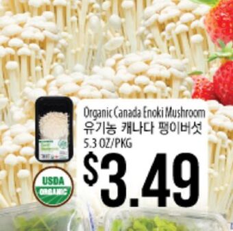 Hmart Organic canada enoki mushroom offer