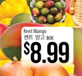 Hmart Kent mango offer