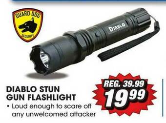 Big 5 Diablo Stun Gun Flashlight offer
