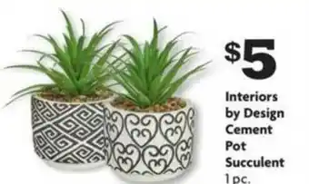 Family Dollar Interiors By Design Cement Pot Succulent offer