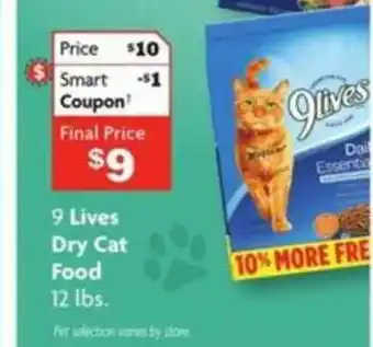 Family Dollar Dry Cat Food offer