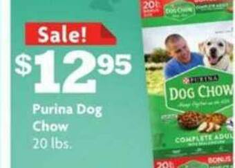 Family Dollar Purina Dog Chow offer